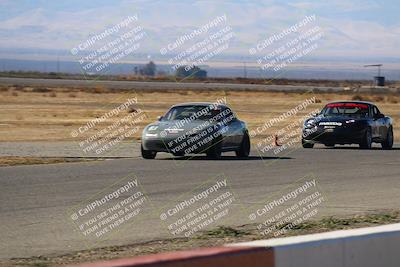 media/Nov-16-2024-CalClub SCCA (Sat) [[641f3b2761]]/Group 4/Grid and Front Straight/